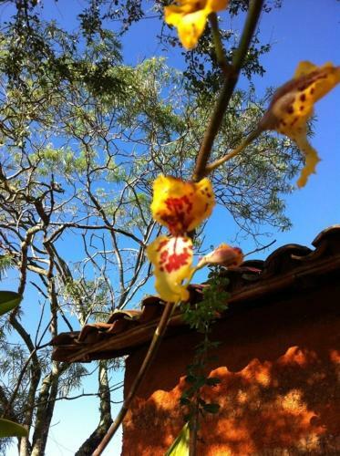 Bed & Breakfast El Agua Casa De Huespedes