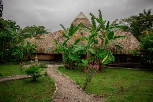 Eco Hotel Cosmogenesis