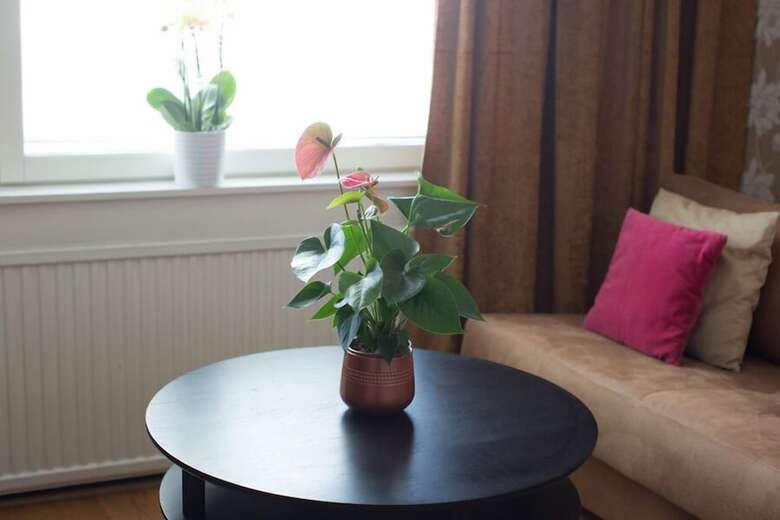 Best Western Capital Hotel