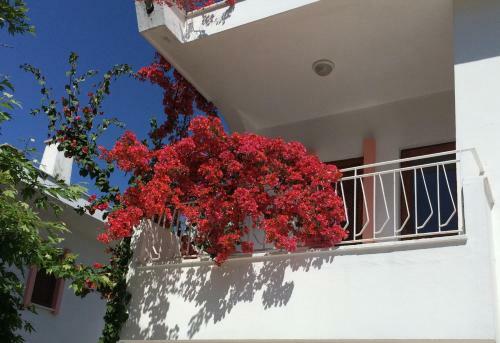 Hotel Flower Villa Apart