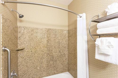 Hotel Baymont Inn & Suites Mesa Downtown