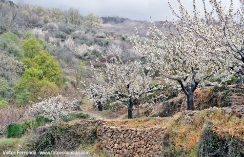 Agroturismo Hotel El Yedron