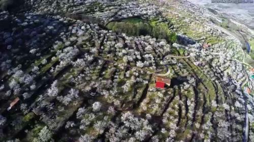 Agroturismo Hotel El Yedron