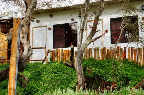 Hostal Rochabus