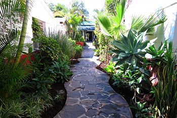 Hotel Ajijic Plaza Suites