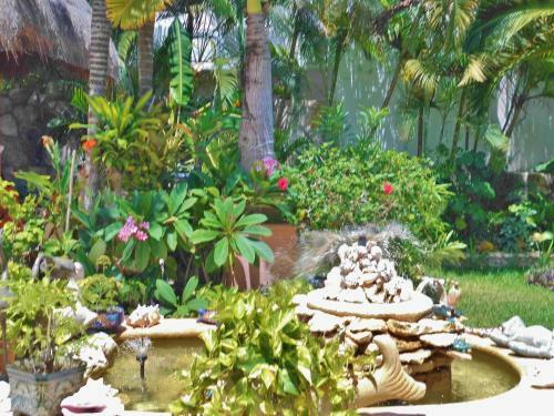 Aparthotel Casa Gatos