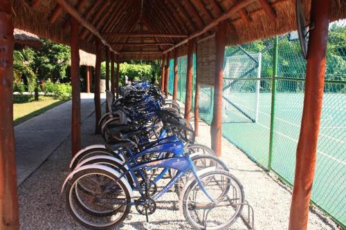 Charming Apartment Within Bahia Principe 5*