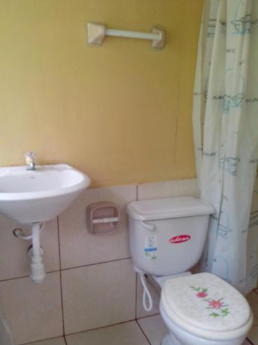 Jungle Explorer Lodge