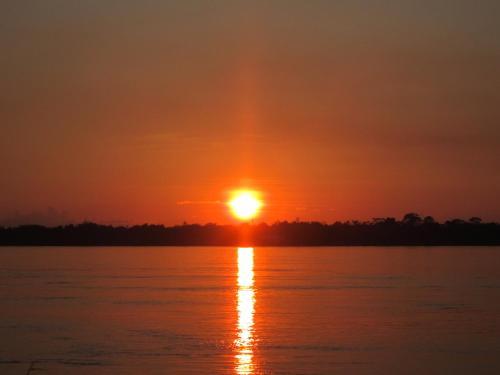 Jungle Explorer Lodge