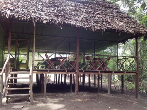 Jungle Explorer Lodge