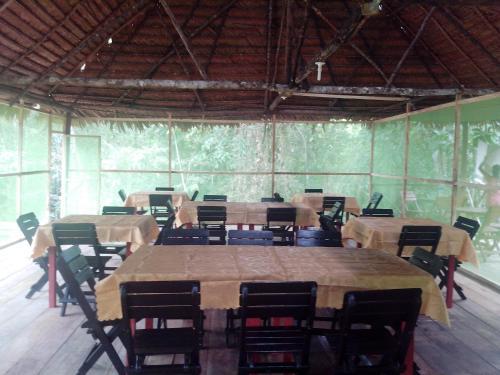 Jungle Explorer Lodge