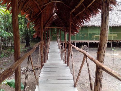 Jungle Explorer Lodge