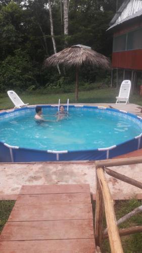 Jungle Explorer Lodge