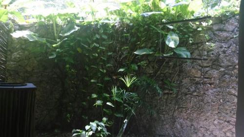 Hotel Villas Eco-rom�nticas K�uch Ka�anil