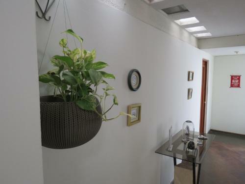 Hostal Miraflores Inn