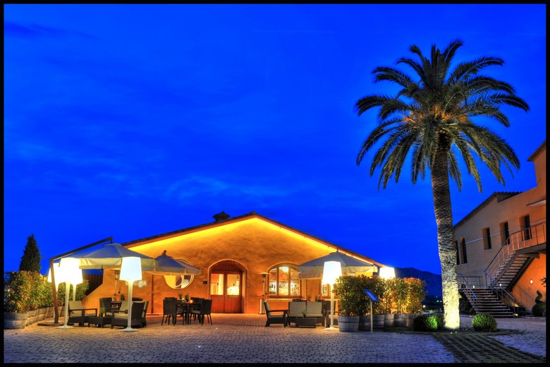 Hotel Can Bonastre Wine Resort
