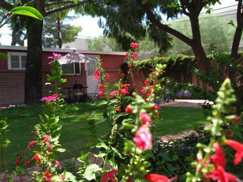 Mon Ami Bed And Breakfast