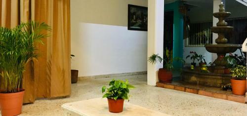 Hotel Posada Edem