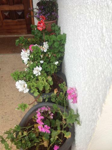 Hostal Pousada Komkaf� - Zimmer Frei