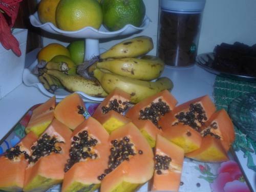 Apartamento Pousada Laura / Ziza