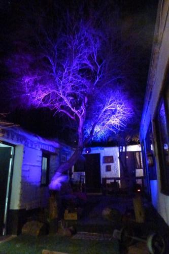 Hostal Hostel El Toconar