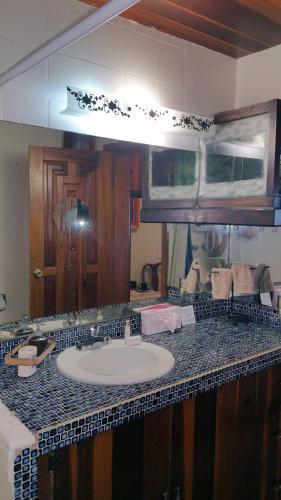 Bed & Breakfast Posada Colibri