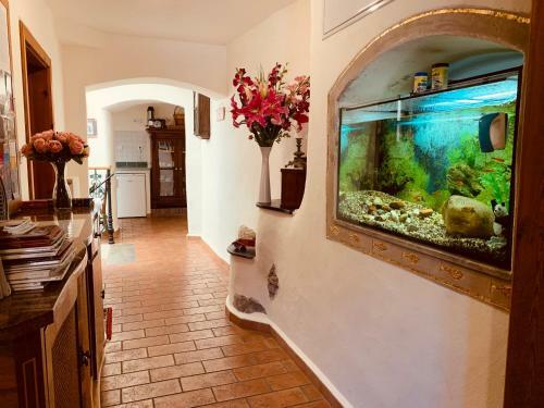 Hostal Penzion Kapr