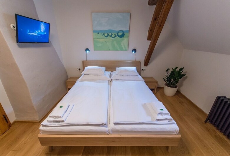 Hostal Alt Straninger