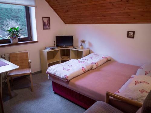 Apartment Harrachov 4