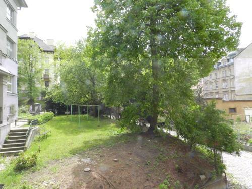 Apartment Kr�le Ji?�ho