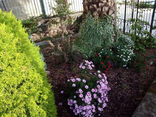 Apartamento Casa Jard�n De La Plata