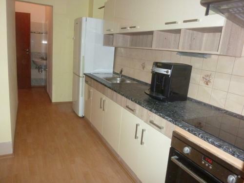 Apartment Karlovy Vary