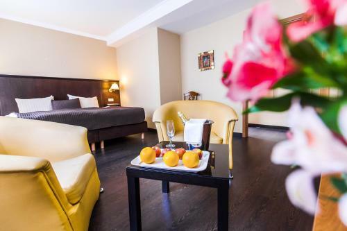 Spa Hotel Panorama