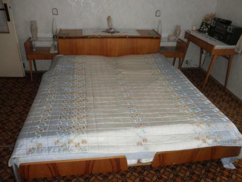 Hostal Pension U Kaktusu