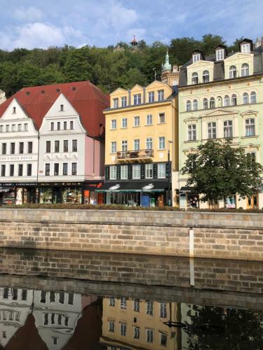 Apartm�n Orchidej U Vr�dla