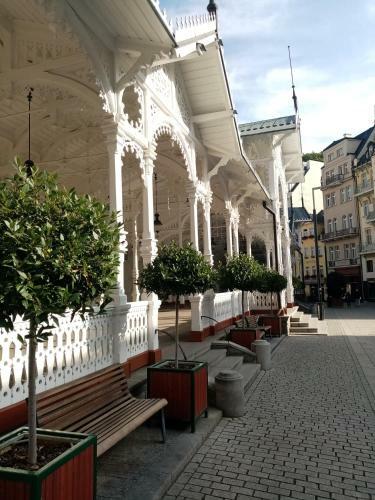 Apartm�n Orchidej U Vr�dla