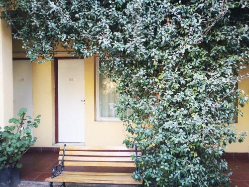 Sosahaus Hostel Mendoza