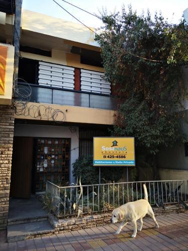 Sosahaus Hostel Mendoza