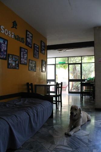 Sosahaus Hostel Mendoza