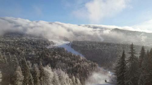 Apartm�n Riviera Lipno 500