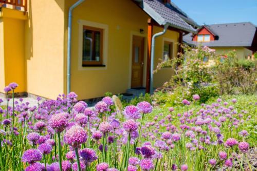 Villapark Lipno Dreams