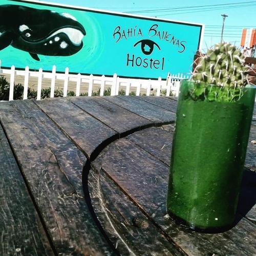 Hostal Hostel Bahia Ballenas