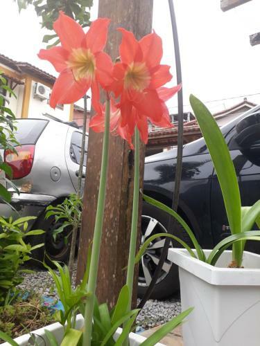 Hostal A Flor Da Terra Pousada