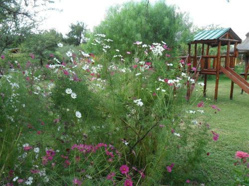 Lodge Caba�as Mandala