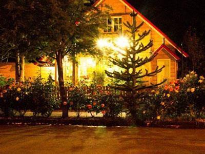 Lodge Caba�as Nonthue
