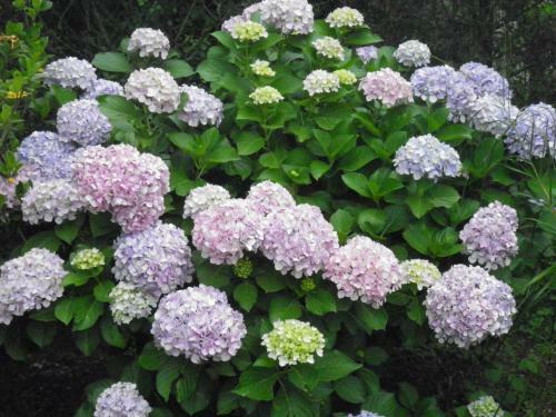 Posada Hosteria Suyana