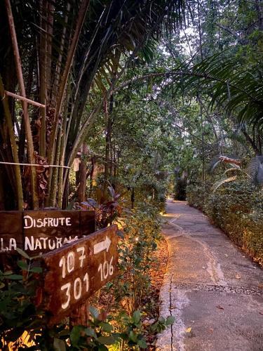 Hotel Piedra De Agua Palenque