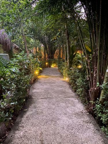Hotel Piedra De Agua Palenque