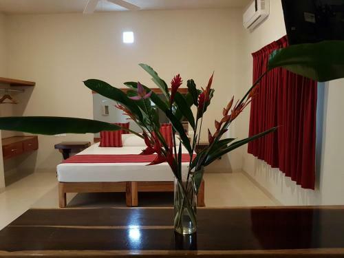 Posada Auto Hotel Para�so Inn
