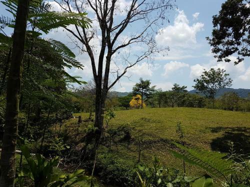Posada Auto Hotel Para�so Inn